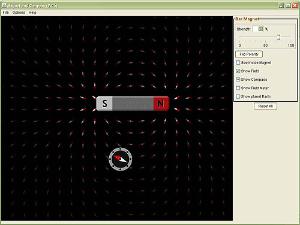 Scientific Problem Solving with Computer Simulations