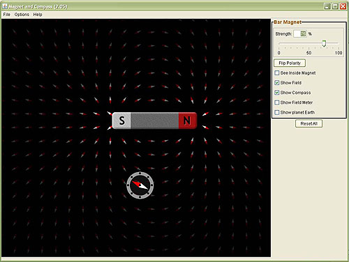 Scientific Problem Solving with Computer Simulations